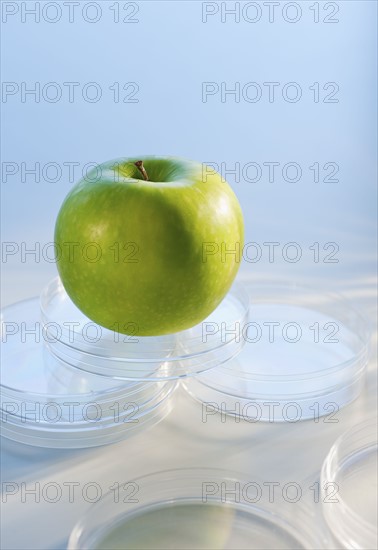 Apple in Petri dish.