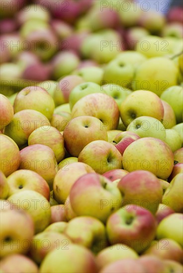 Pile of apples. Photo : Antonio M. Rosario