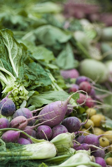 Produce display at farmer's market. Photo : Antonio M. Rosario