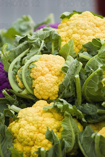 Cauliflower display at farmer's market. Photo. Antonio M. Rosario