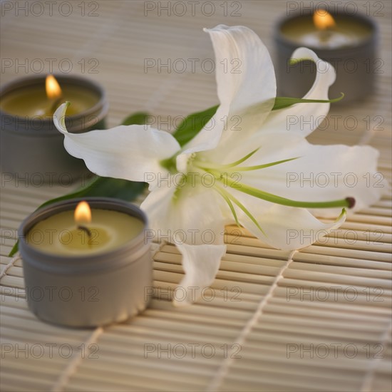 Tea lights and white lily on bamboo mat. Photo : Daniel Grill