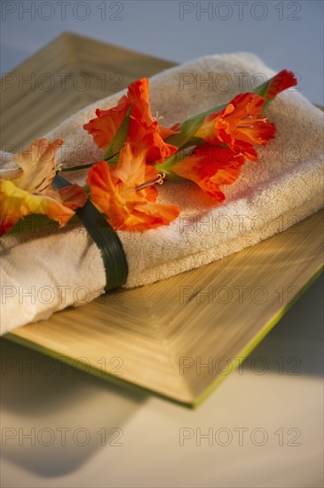 Gladioli flowers on towel. Photo : Daniel Grill