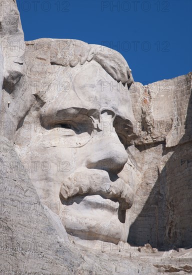 Head of Roosevelt on Mount Rushmore.