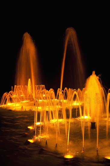 Water fountains at night. Photo. Daniel Grill