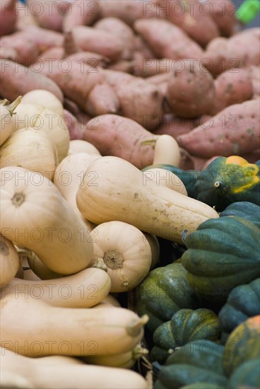 Squash and sweet potatoes. Photo : Antonio M. Rosario
