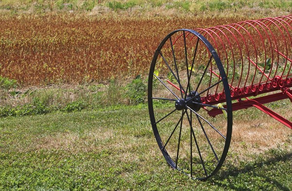 Plow in farmer's field. Photo. fotog