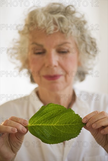 Woman holding a green leaf. Photo. Daniel Grill