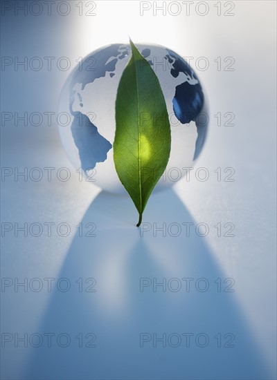 Green leaf in front of globe.