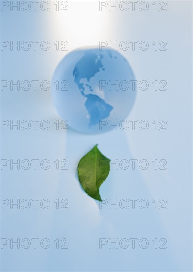 Green leaf in front of globe.