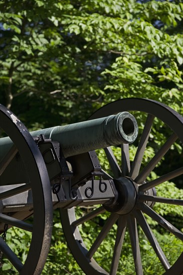 Cannon. Photo : Daniel Grill