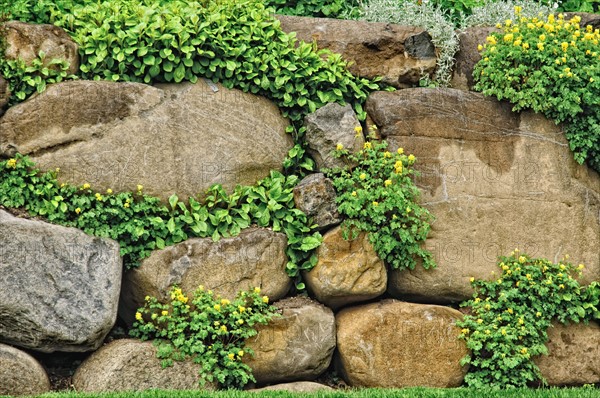 Garden wall. Photo : Antonio M. Rosario