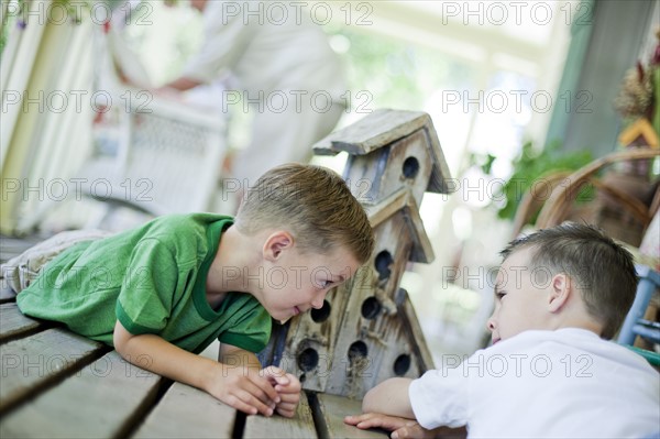 Young boys looking at birdhouse. Photo : Tim Pannell