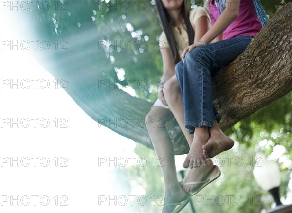 Two girls sitting in a tree. Photo : Tim Pannell