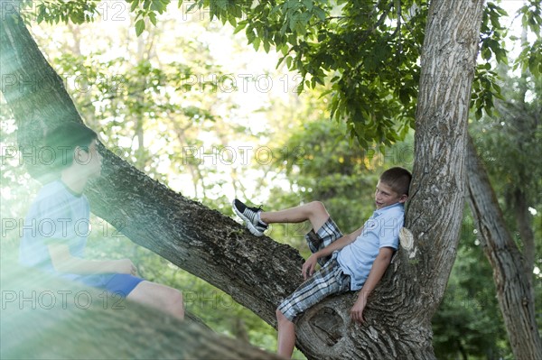 Two boys sitting in a tree. Photo : Tim Pannell