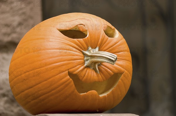 Jack-o-lantern. Photo : Antonio M. Rosario