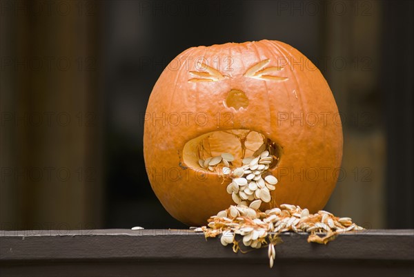 Jack-o-lantern. Photo : Antonio M. Rosario