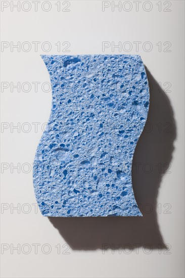 Blue sponge. Photo. David Engelhardt