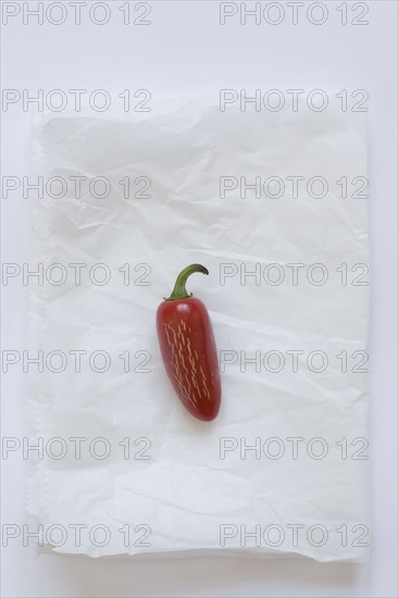 Fresno pepper on parchment paper. Photo : David Engelhardt