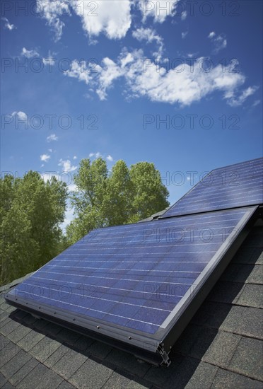 Solar panels on roof. Photo : Shawn O'Connor