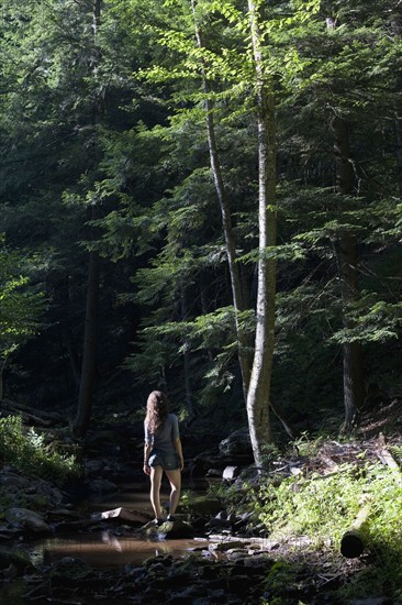 Hiker looking at stream. Photo. David Engelhardt