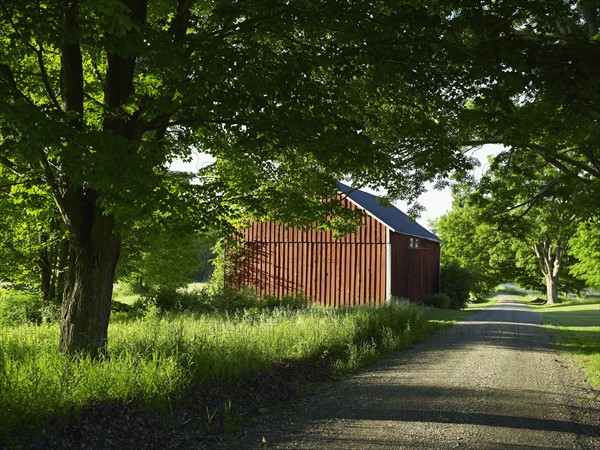 Rural road. Photo. John Kelly