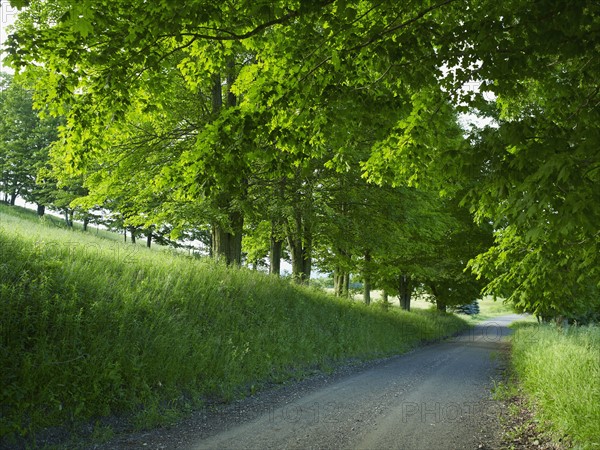 Rural road. Photo. John Kelly