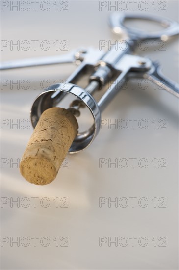 Cork on corkscrew. Photo : Daniel Grill