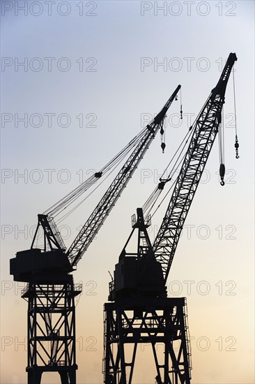 Cranes. Photo : fotog