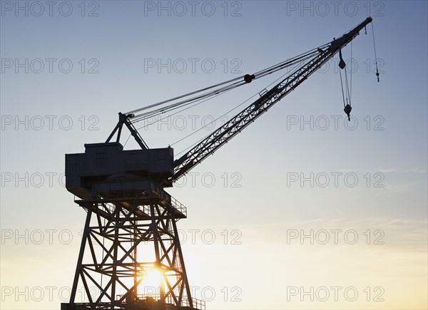 Crane. Photo. fotog