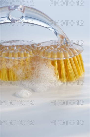 Cleaning brush. Photo. Daniel Grill