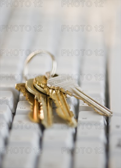 Keys on computer keyboard. Photo : Jamie Grill