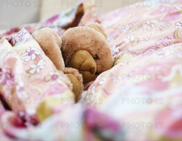 Teddy bear in bed. Photo. Jamie Grill