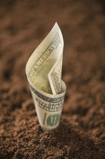 One hundred dollar bill in soil. Photo : Mike Kemp