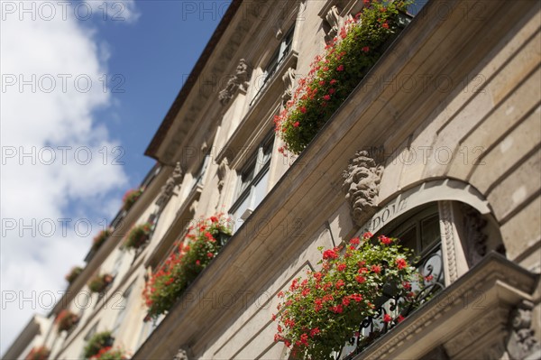 France, Paris, Window boxes outside building. Photo : FBP