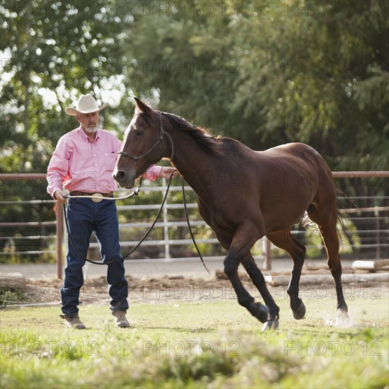 Senior man training horse in ranch. Photo : Mike Kemp