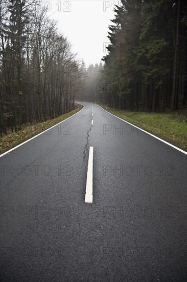 Road in fog. Photo : Johannes Kroemer