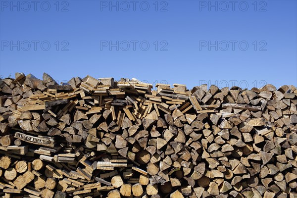 Stacked wood. Photo : Johannes Kroemer