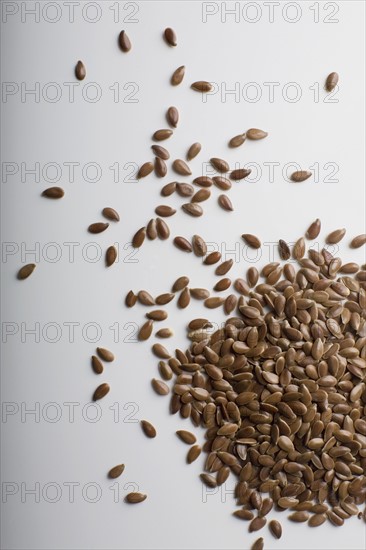 Flax seed. Photo : David Engelhardt