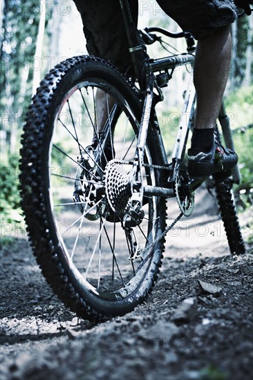 Man mountain biking . Photo : Shawn O'Connor