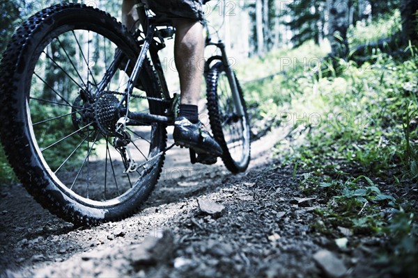 Man mountain biking in forest. Photo : Shawn O'Connor