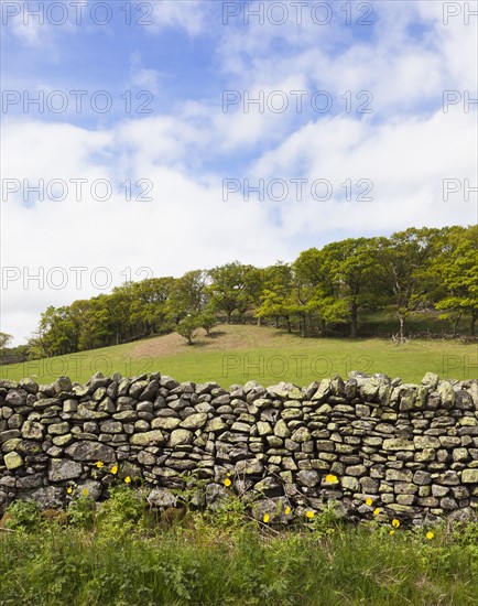 Dry stone wall and field. Photo : Jon Boyes