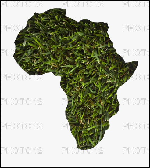 Africa map made from grass. Photo : Mike Kemp