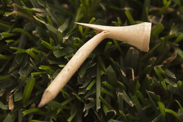 Golf tee on grass. Photo : Mike Kemp