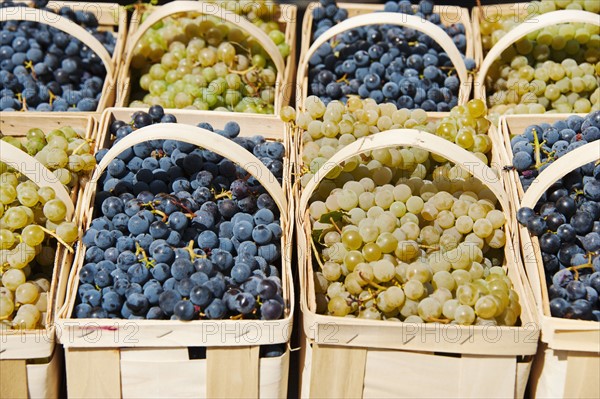 Punnets of fresh grapes on market stall.