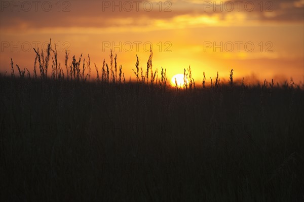 Sunset above prairie.