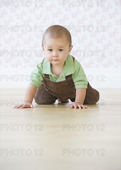 Baby boy (12-17 months) crawling on floor. Photo : Daniel Grill