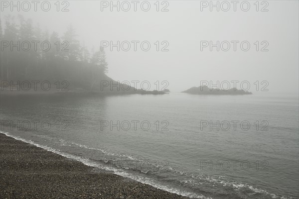 Foggy coast. Photo : Johannes Kroemer