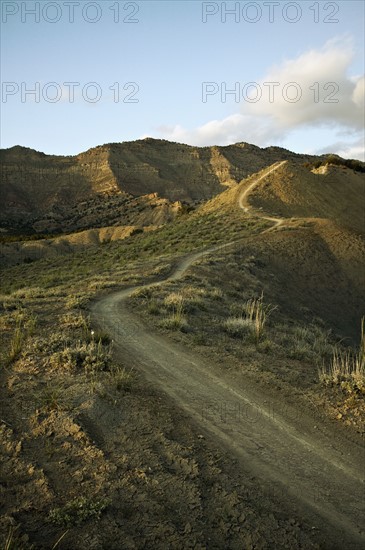 Mountain track. Photo : Shawn O'Connor