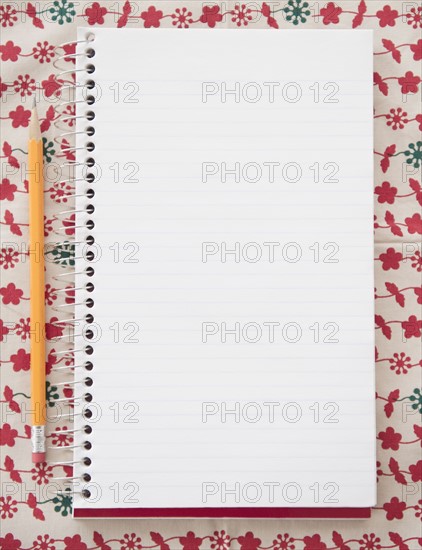 Blank notebook with pencil, directly above. Photo : Jamie Grill