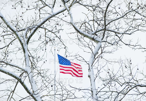 USA, New York, New York City, Snow covered tree branches and American flag.